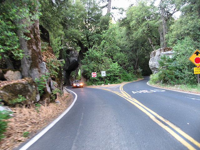 Yosemite National Park