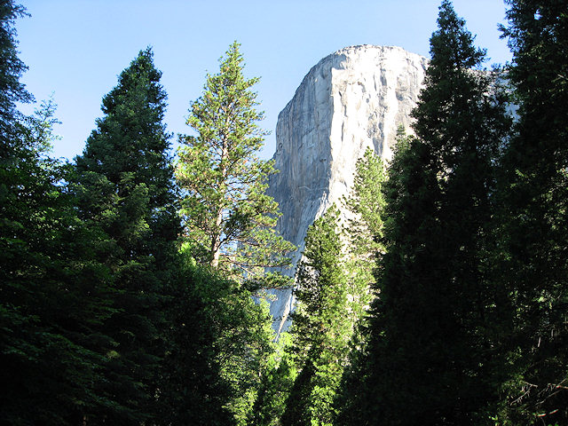 Yosemite National Park
