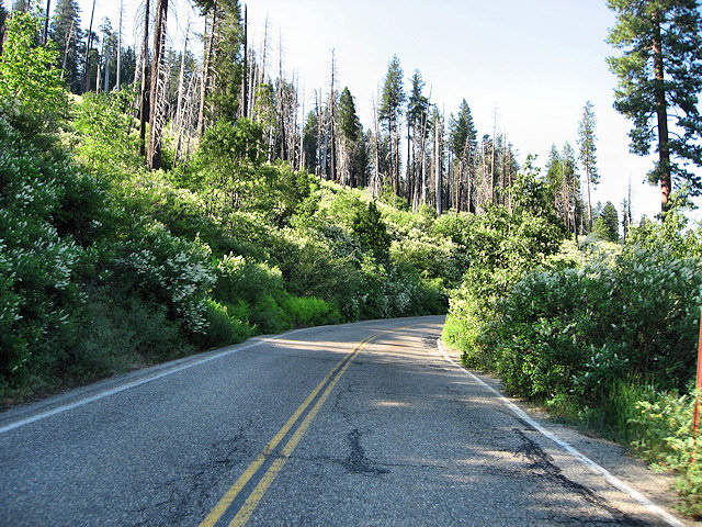 Yosemite National Park