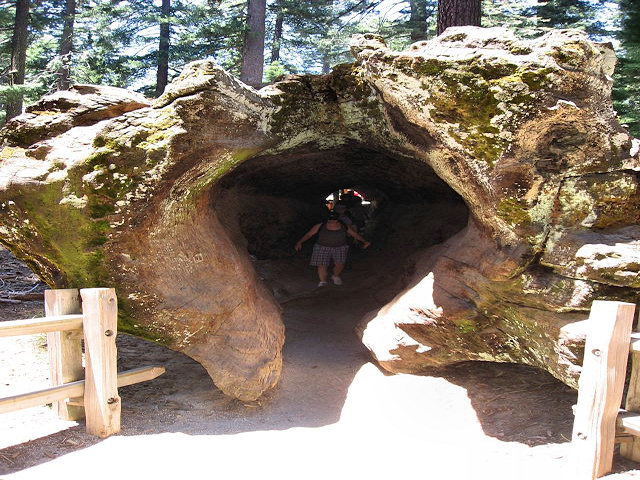 Kings Canyon National Park