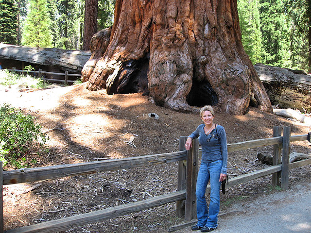 General Grant Sequoia