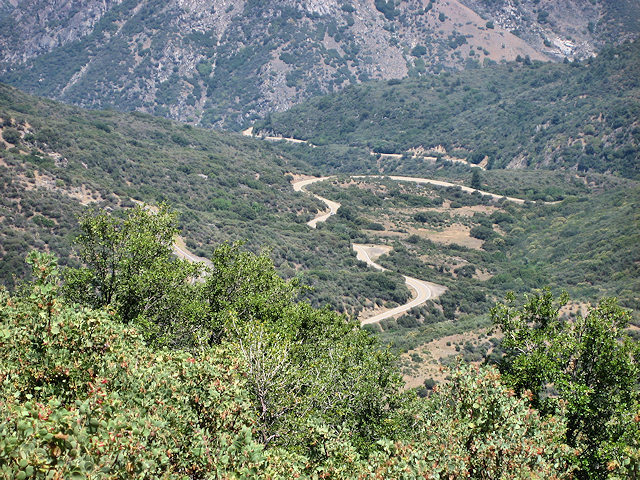Kings Canyon National Park