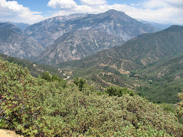 Kings Canyon National Park