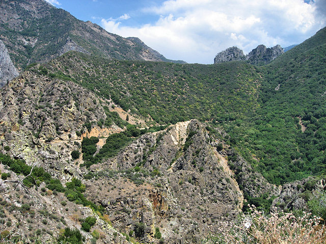 Kings Canyon National Park