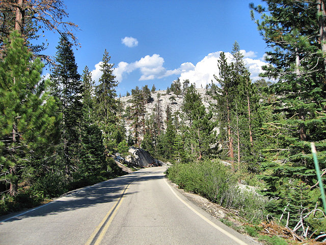 Road from Hume Lake