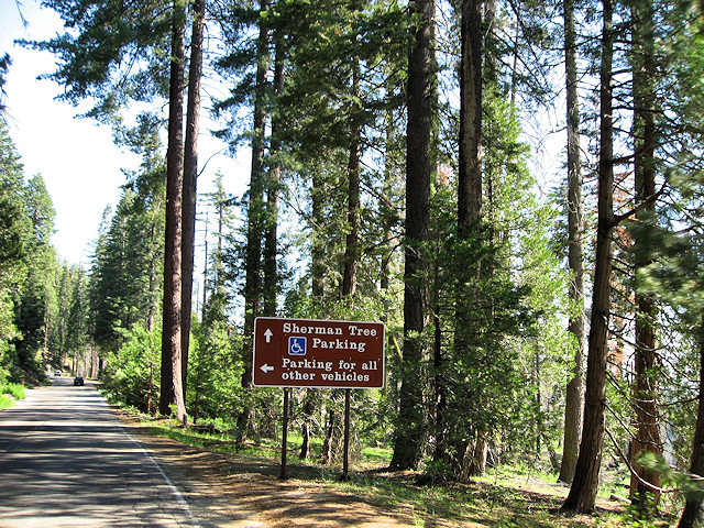 Sequoia National Park