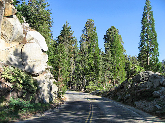 Sequoia National Park