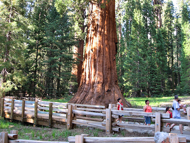 Sequoia National Park