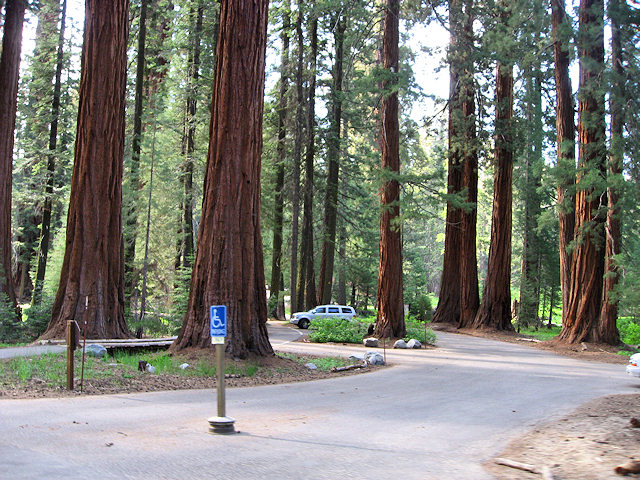 Sequoia National Park