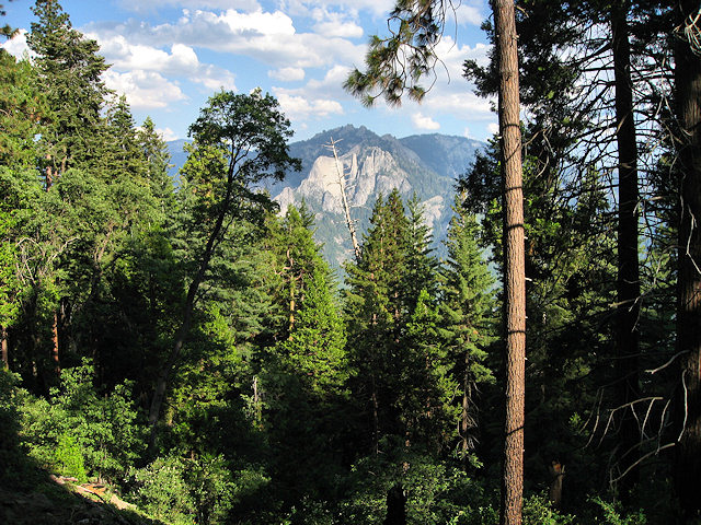 Sequoia National Park