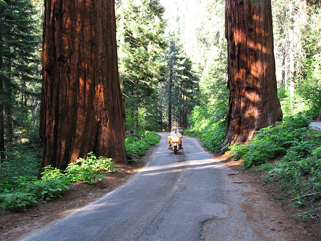 Sequoia National Park
