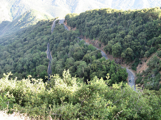 Hwy. 198 out of South Side of Sequoia National Park
