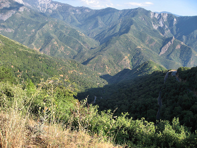 Hwy. 198 out of South Side of Sequoia National Park