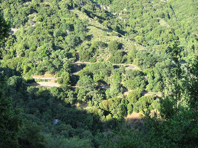 Hwy. 198 out of South Side of Sequoia National Park
