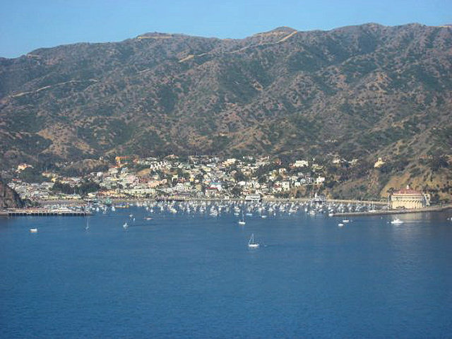 Helicopter To Catalina Island