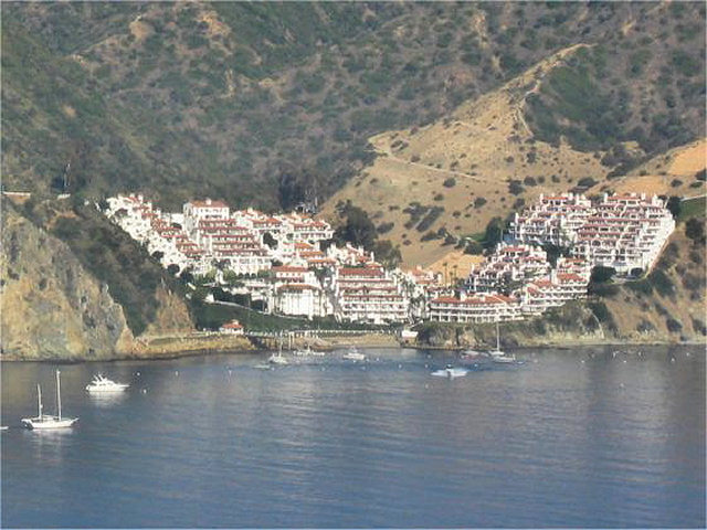 Helicopter To Catalina Island