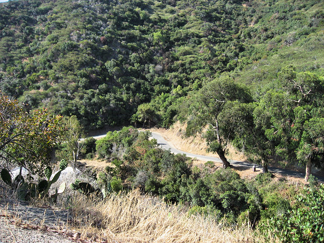 City of Avalon on Catalina Island