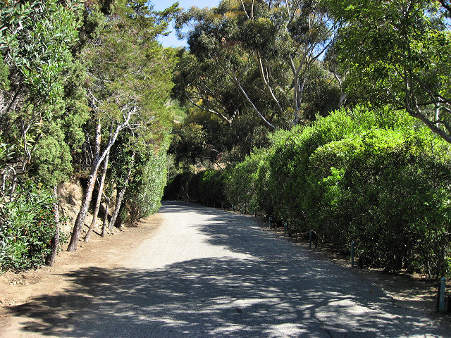 Tour of the Island