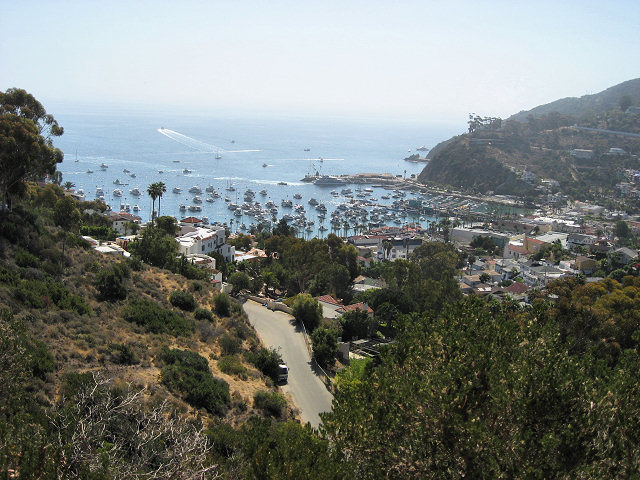 Tour of the Island