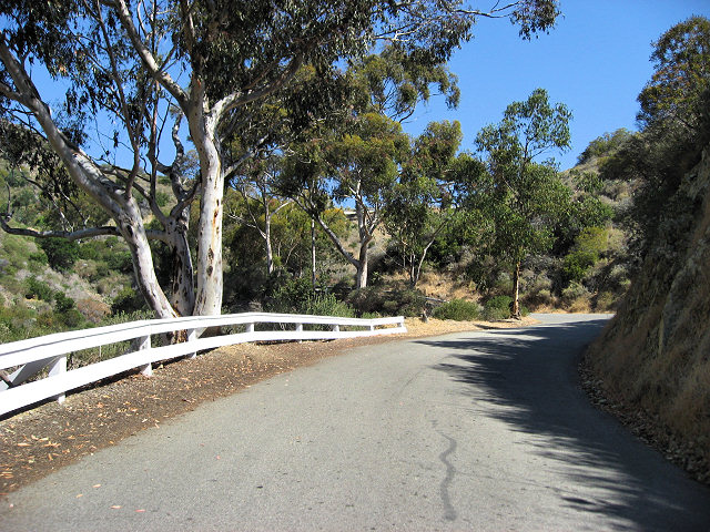 Tour of the Island