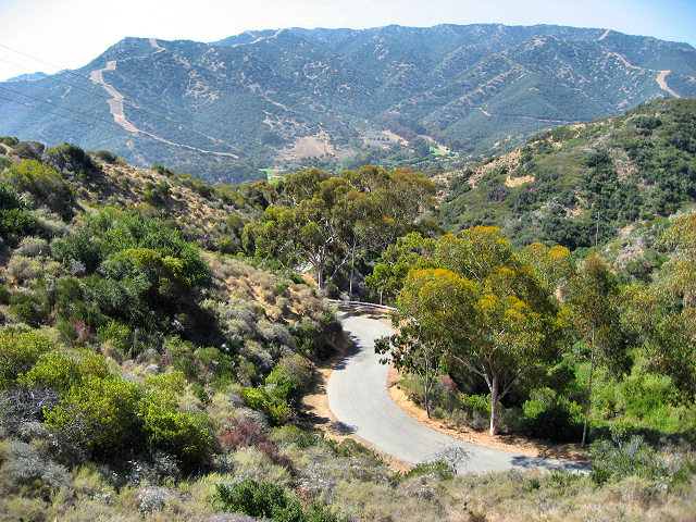 Tour of the Island