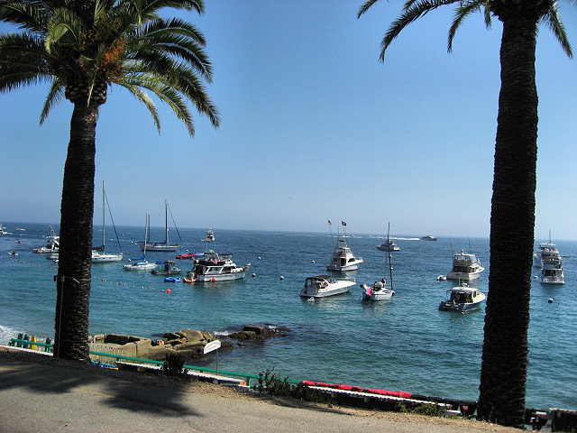 Scenes From Catalina Island