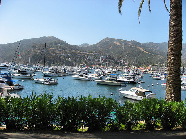 Scenes From Catalina Island
