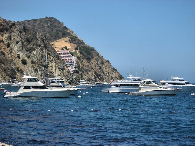 Scenes From Catalina Island
