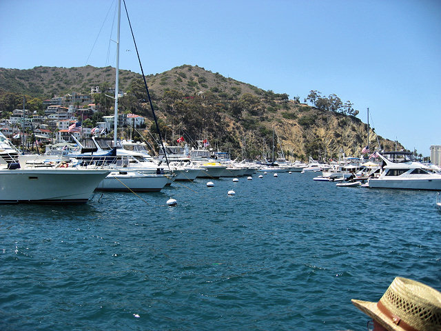Scenes From Catalina Island