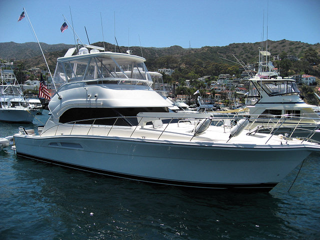 Scenes From Catalina Island