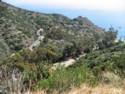 Scenes From Catalina Island