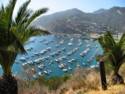 Scenes From Catalina Island
