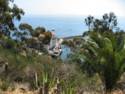 Scenes From Catalina Island