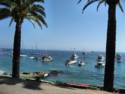 Scenes From Catalina Island