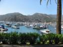 Scenes From Catalina Island