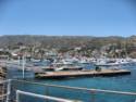 City of Avalon on Catalina Island