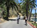 Scenes From Catalina Island