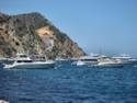Scenes From Catalina Island