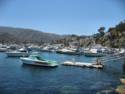 Scenes From Catalina Island
