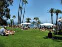 Scenes From Catalina Island