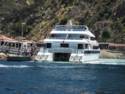 Scenes From Catalina Island