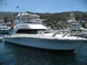 Scenes From Catalina Island
