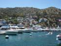 Scenes From Catalina Island