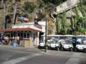 Golf Cart Rental