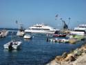 Scenes From Catalina Island