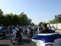 Bikes on Road
