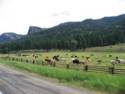 Hwy. 160 to South Fork, CO