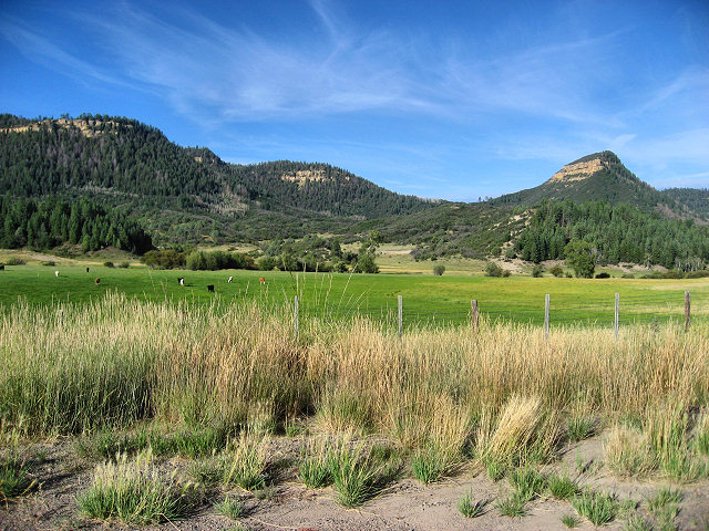 Hwy. 84 to Pagosa Springs, CO