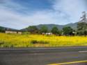 Hwy. 89