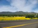 Hwy. 89